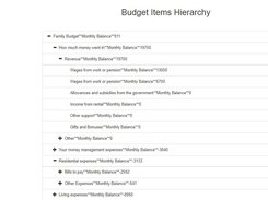 Budget Hierarchy