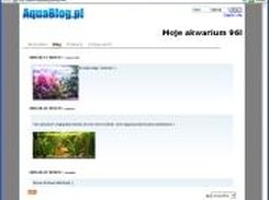 Main blog page