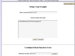 ScreenShot of the Algo tester online