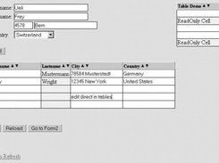 Form with editable Tables, TextFields, ComboBox and Buttons.