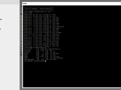 shell terminal emulator