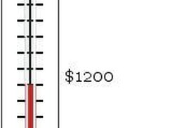 Fundraising Thermometer