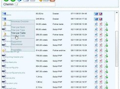 the contextual menu allow to sort the files