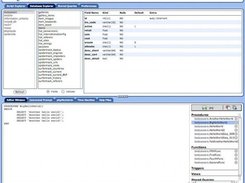 Database Explorer & Resizing Features