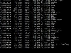 Executing a few commands as root.