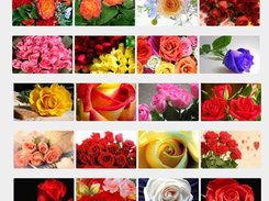 Screen Shot PHP Smart Gallery