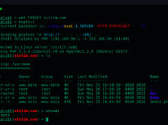 phpsploit Screenshot 1