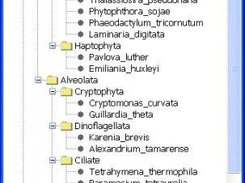 Taxonomy Reference Tree