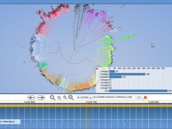 Representation of a SNP search in the tree and the chart that complements this search.