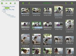 PicLJooS - Gallery Browsing