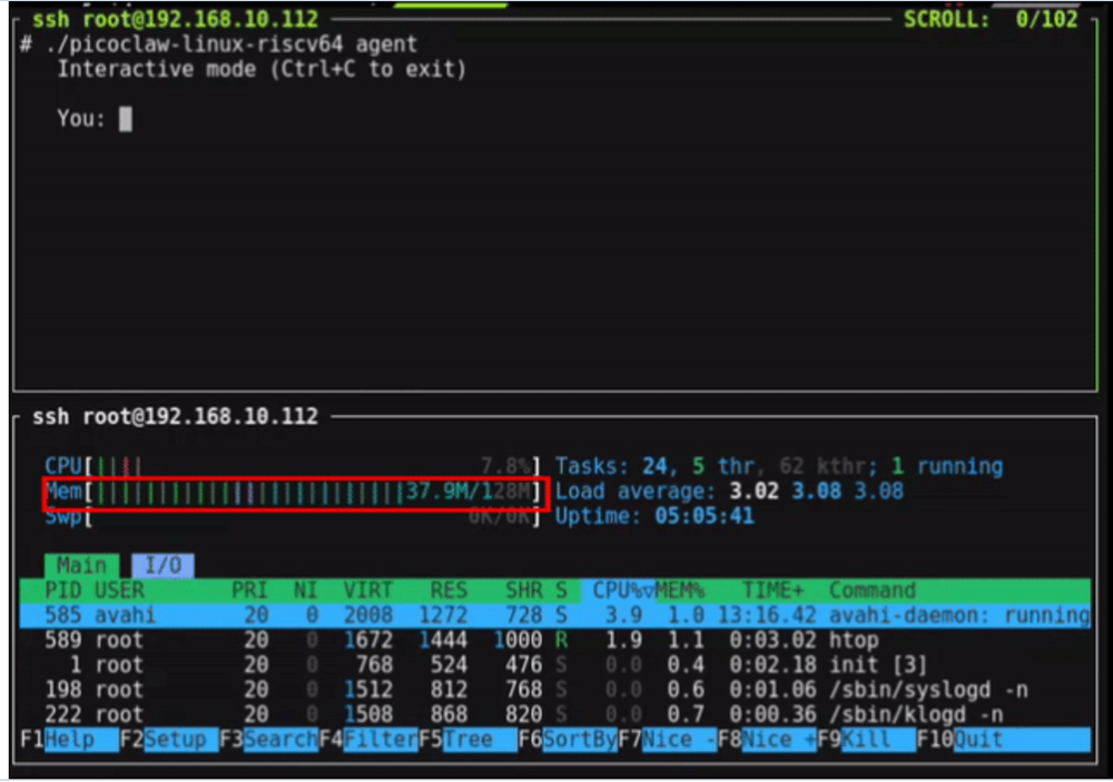 PicoClaw Screenshot 1