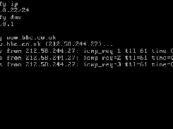 picoTCP for DOS Screenshot 1