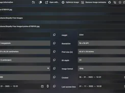 View an image information window which will update as you browse through images. Set EXIF rating, optimize image and rename/move files.