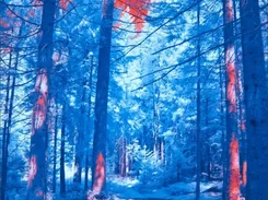 Minimalist dark theme