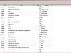 The ledger of revenue and expense transactions.