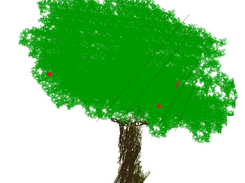 Tree(drawn with fractal and pencil)
