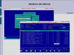 Modulo de ventas: ingreso de pedidos