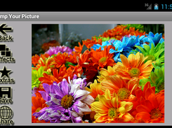 Main screen - original picture