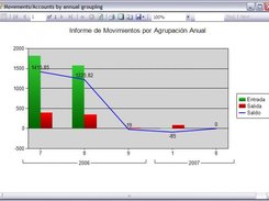 Financial report annual grouping