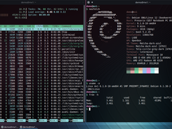 Neofetch and Htop on tilled window