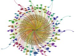 An example visualization of interactions among agents in “wolf-sheeppredation”. (Using Gephi)