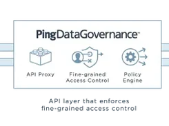 PingDataGovernance Screenshot 2