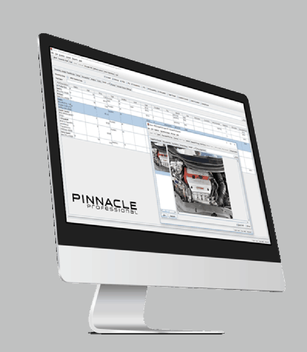 Pinnacle Professional Screenshot 1
