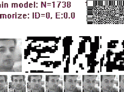 Application of AsNN to Face Recognition in Video (from Gorodnichy's CRV 2005 paper)