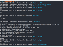 pino-pretty formatted log