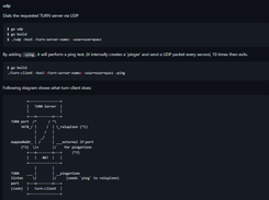 Pion TURN Screenshot 1