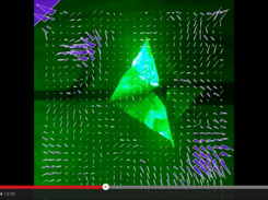 Screenshot of a generated video with visualization of PIV data