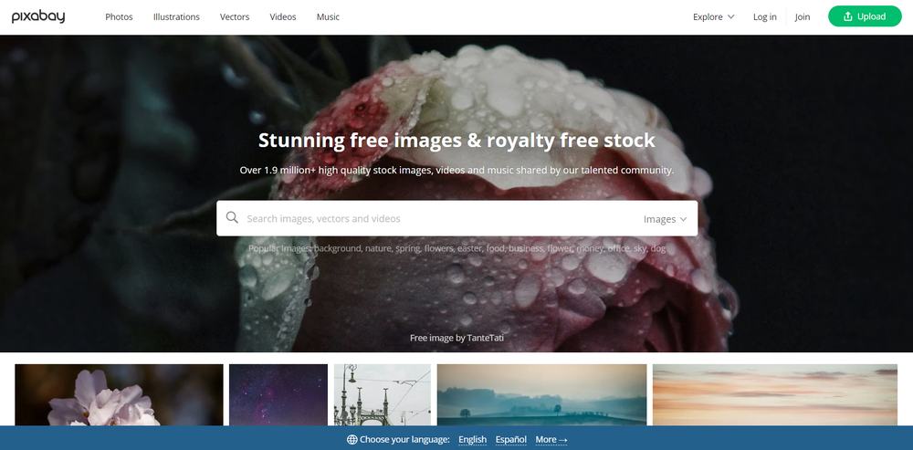 Pixabay Screenshot 1