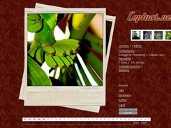 Example template - Cepiuos
