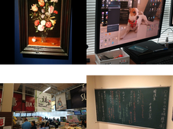 Sample input images.