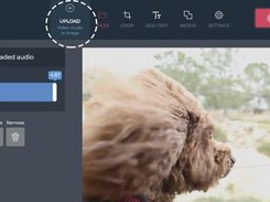 How to create GIF online with Pixiko 