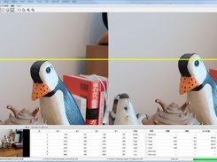 Original images with vertical disparity