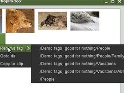 Pixgui handling tags