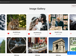 clint ui to download ,like, dislike images 