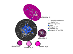 PLACNET example (Lanza et al., 2014)