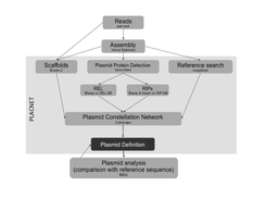 PLACNET Workflow (Lanza et al., 2014)