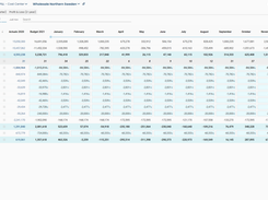 Input of account based budget, only for non-driver-based accounts