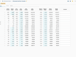 Example of input of sales budget for a retail company selling ski equipment