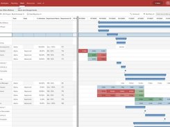 Integrated Gantt and Assignment Profile View