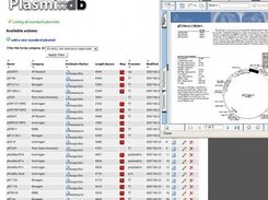 Standard Plasmids