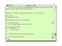 Using a collaborative Python interactive interpreter