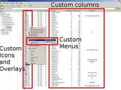 Screen shot of Dokan/Plisgo example in detail view