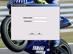Login window