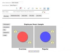 Data display as pie charts