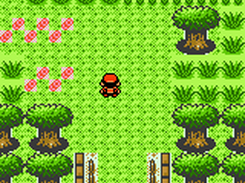 pokemon, gold, beta, alpha, skate, restoration, project, maps, gbc, rom, download, gameboy, color, hack, playable, prototype, complete, johto