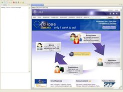 RTBrowser with chat view